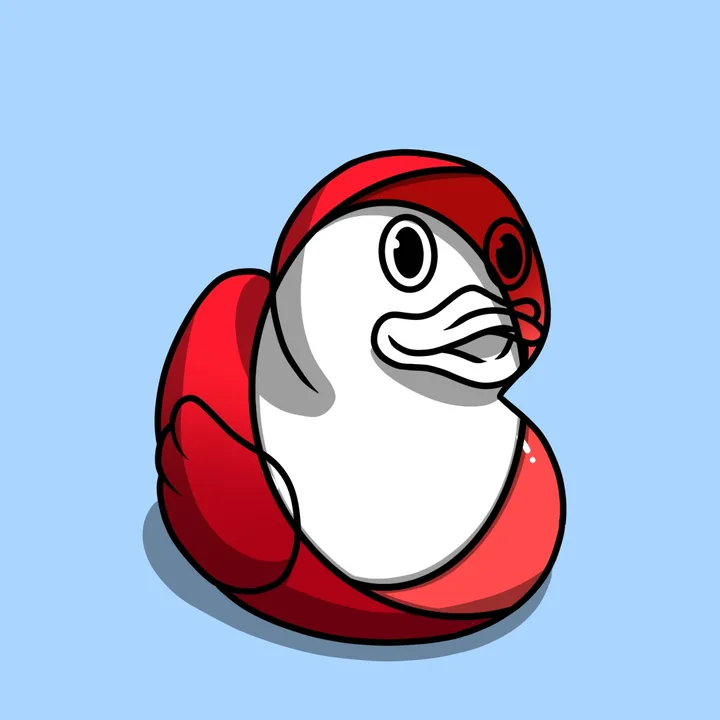 Rubber Duckz #72