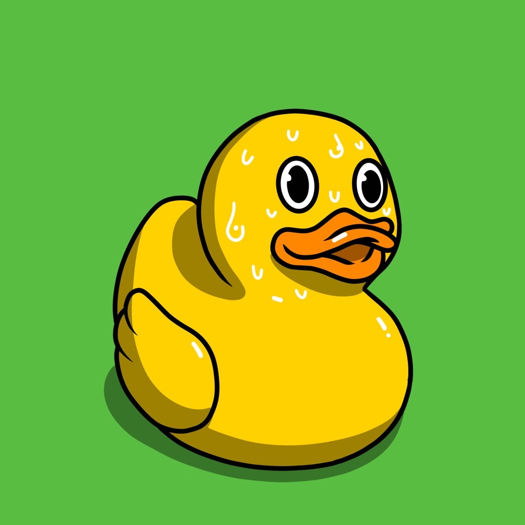 Rubber Duckz #9