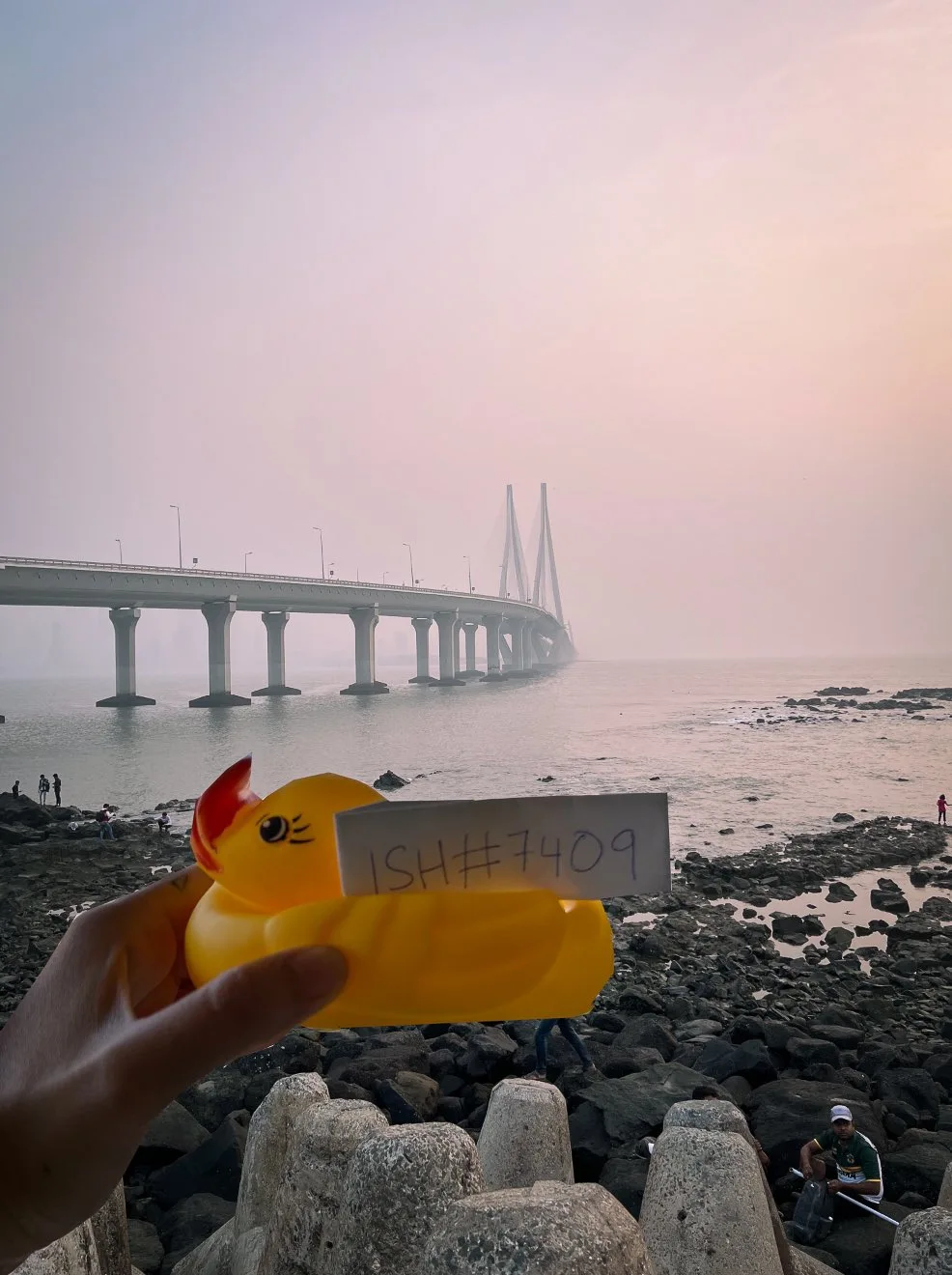 A Duck by the water