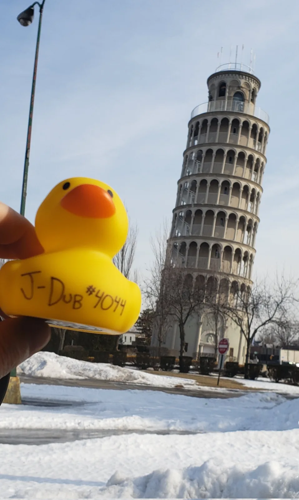 A little Duck in Pisa