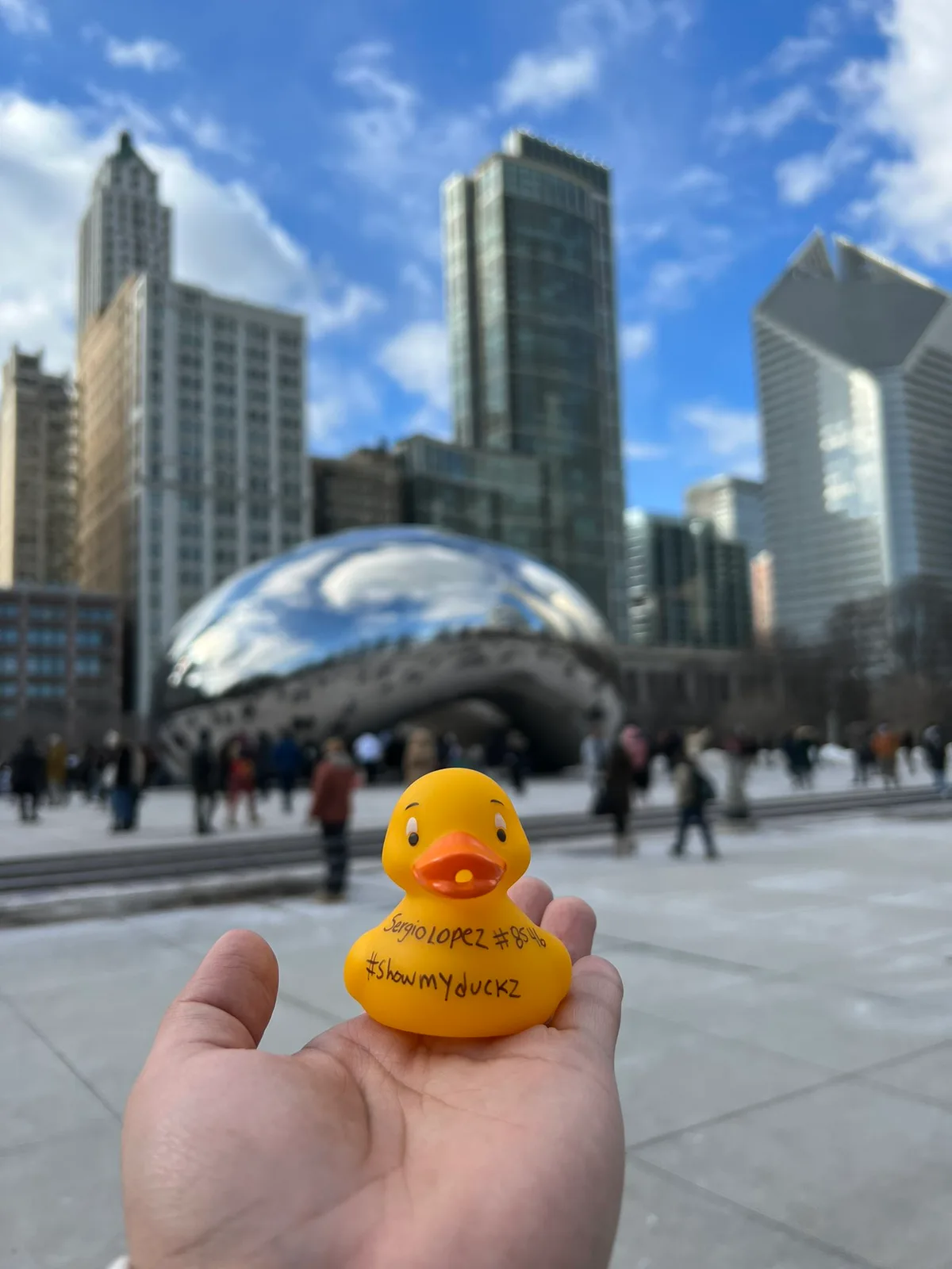 A Duck at Cloud Gate, Chicago
