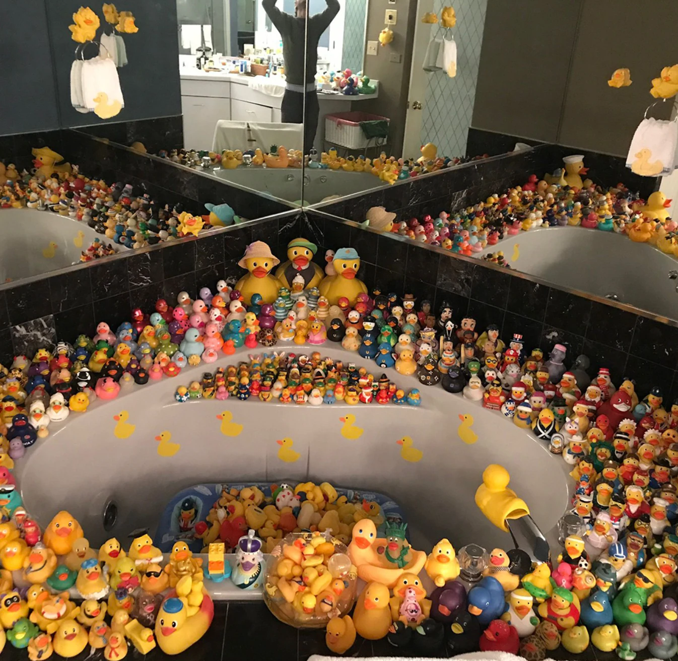 The original physical rubber duck collection
