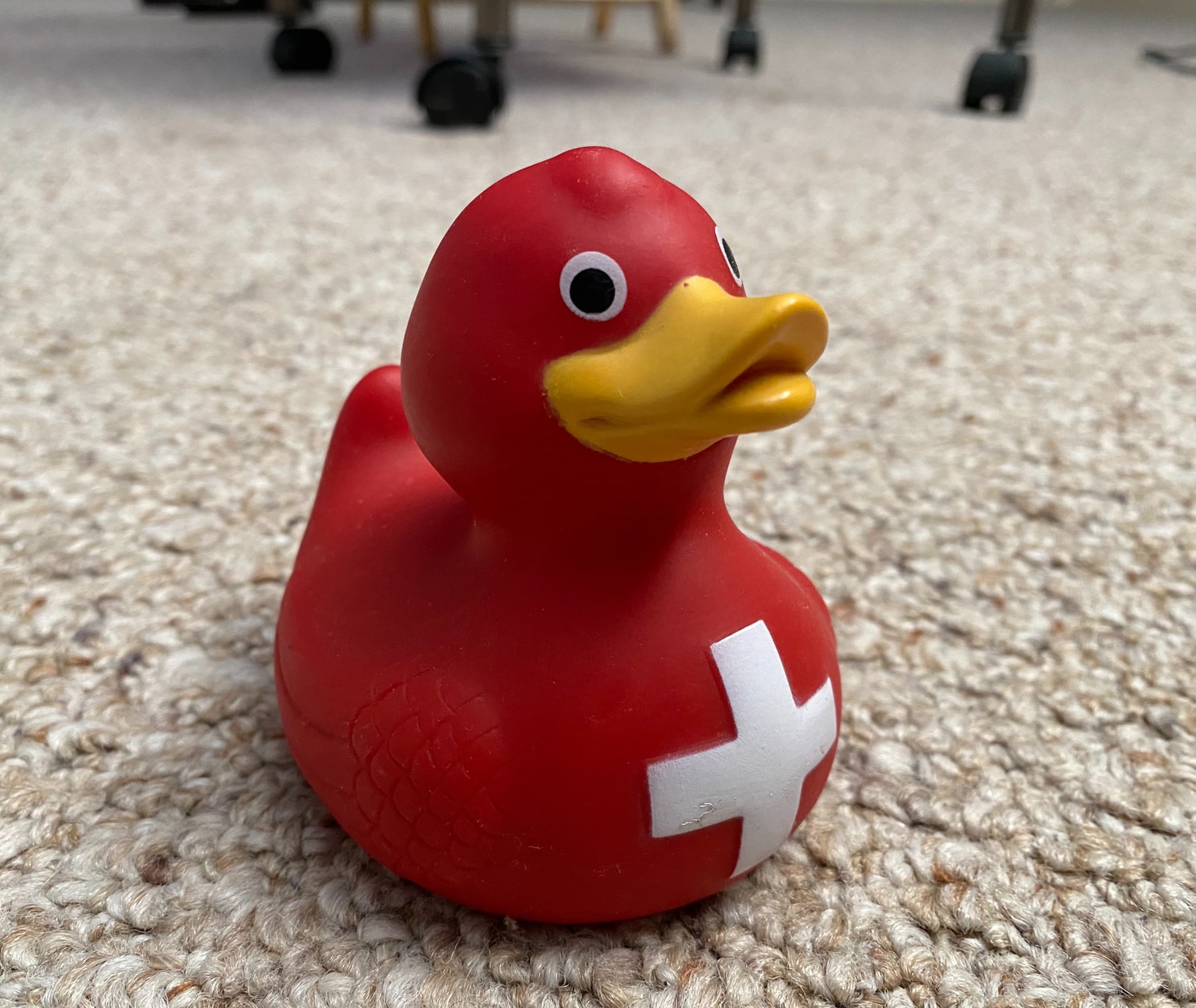 Physical duck · Switzerland Flag