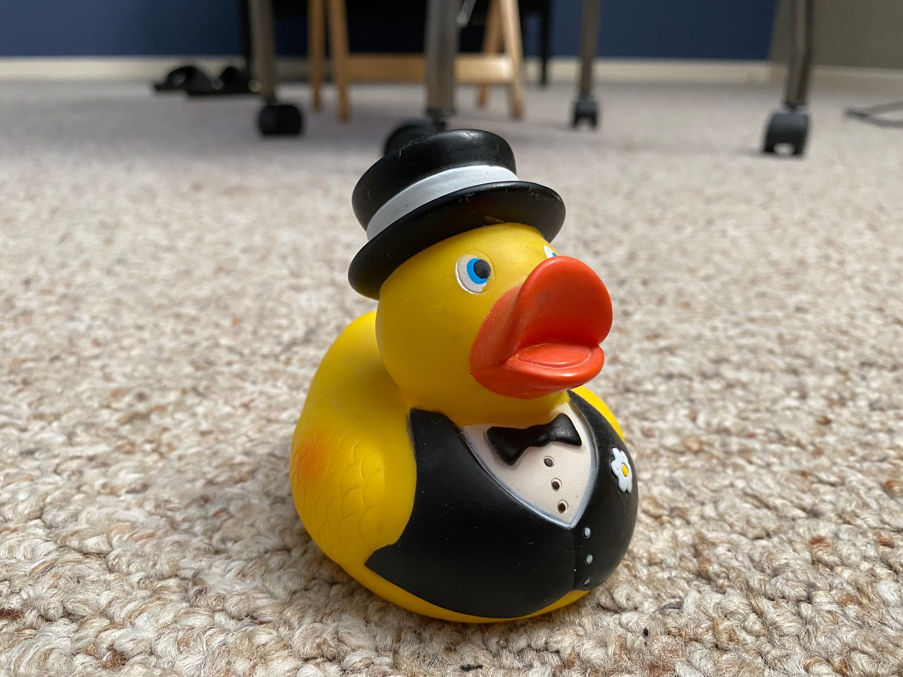 Physical duck · Groom  Duck